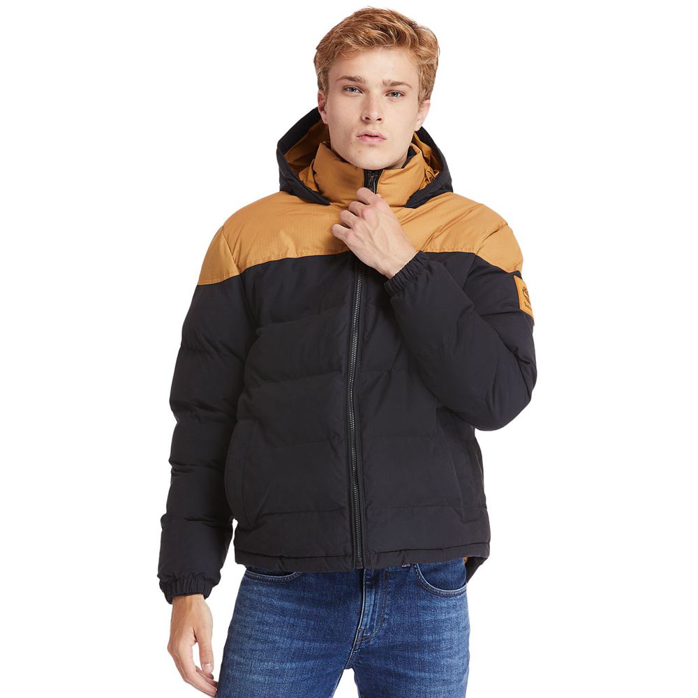 Chaquetas Timberland Hombre Welch Mountain Warm Invierno Marrones/Negras - Chile MPI-372648